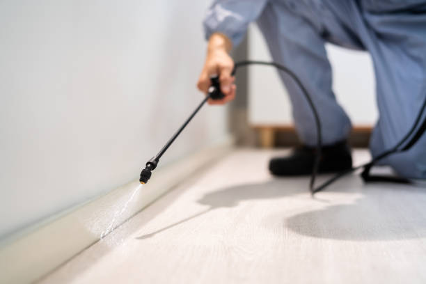 Licensed Pest Control service in Buxton, NC - Show Me Pest Control