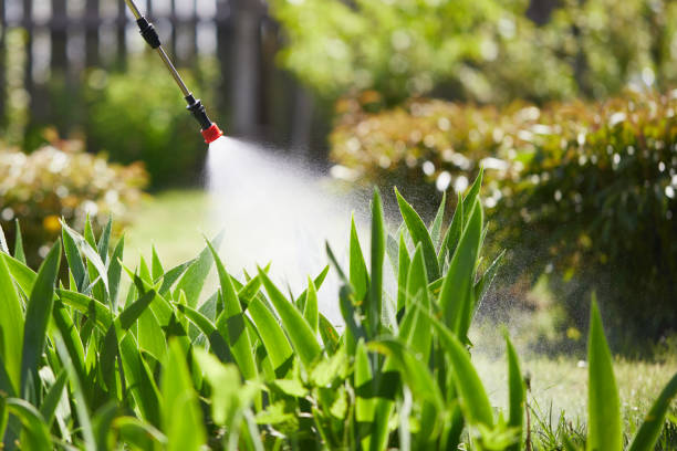 24/7 Emergency Wasp Removal experts in Buxton, NC