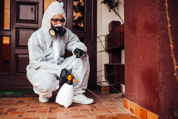 Reliable Wasp Removal contractor in Buxton, NC by Show Me Pest Control